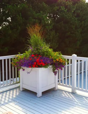 Oceanfront — Landscape Design project by Tara Gardens Inc. in Southampton