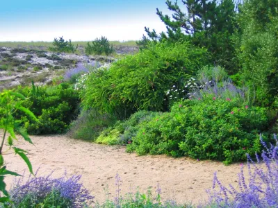 Tara Gardens Inc. - Irrigation System Repair in Southampton, NY