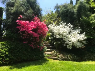 Tara Gardens Inc. - Irrigation System Repair in Southampton, NY