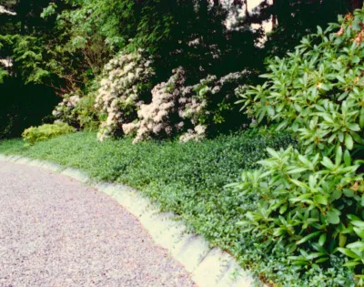 Tavella Design Group, LLC - Landscape Design in Orange, CT