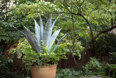 Taylor Landscape Design - Irrigation System Repair in Atlanta, GA
