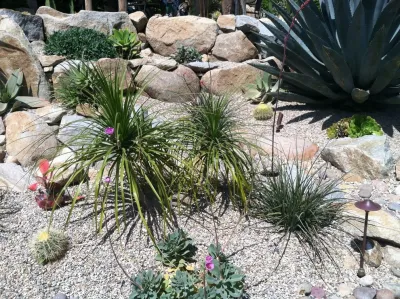 La Mesa Waterwise — Landscape Design project by Team G7 Landscape Design & Construction