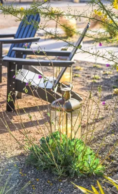 Ten Over Landscape - Landscape Design in San Luis Obispo, CA