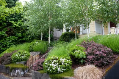 Terra Design - Landscape Design in Seattle, WA