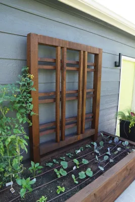 BareRoot Designs - Garden Remodeling in Asheville, NC