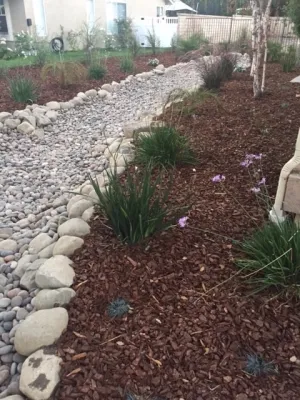 Terra Seco Gardens - Drought-Resistant Lawn Installation in Van Nuys, CA