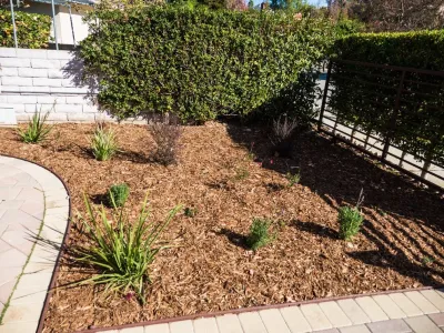 Terra Seco Gardens - Drought-Resistant Lawn Installation in Van Nuys, CA