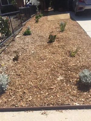 Terra Seco Gardens - Drought-Resistant Lawn Installation in Van Nuys, CA