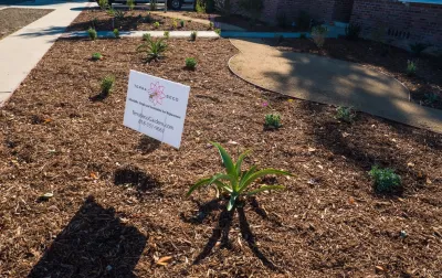 Terra Seco Gardens - Drought-Resistant Lawn Installation in Van Nuys, CA