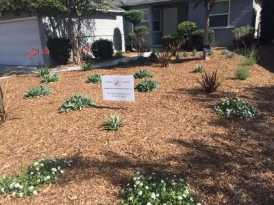 Terra Seco Gardens - Drought-Resistant Lawn Installation in Van Nuys, CA