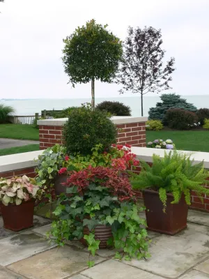 Barnes Nursery & Garden Center - Landscape Design in Huron, OH