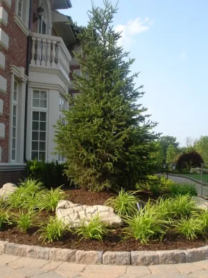 Terracare - Landscape Maintenance in Oakland, NJ
