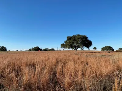 Central Texas Residence — Landscape Design project by Terralab | Landscape Architects, LLC