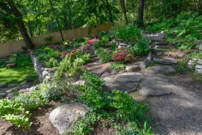 Woodland Garden on a Slope — Landscape Design project by Terrascapes Landscape Design