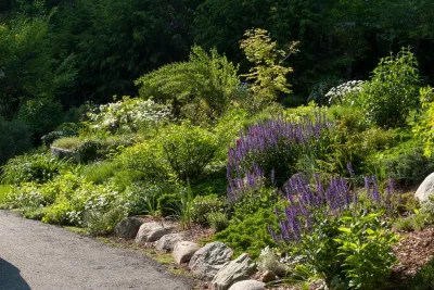 Terrascapes Landscape Design - Garden Remodeling in Needham, MA