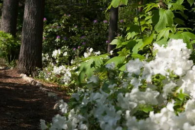 Terraced Garden on a Slope — Landscape Design project by Terrascapes Landscape Design in Needham