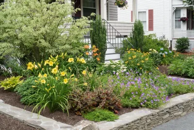 No Mow Front Yard — Landscape Design project by Terrascapes Landscape Design in Melrose