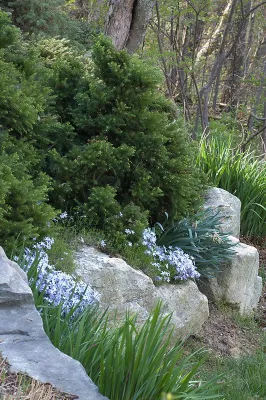 Terri Long Landscape Design, Inc. - Garden Remodeling in Asheville, NC