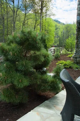 Terri Long Landscape Design, Inc. - Garden Remodeling in Asheville, NC