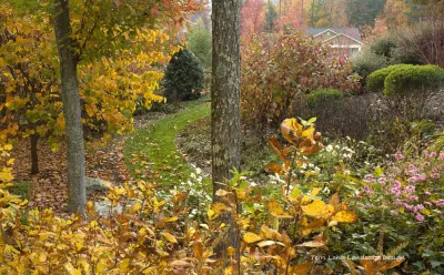 Terri Long Landscape Design, Inc. - Garden Remodeling in Asheville, NC