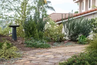 Barrels & Branches - Fence Installation in Encinitas, CA