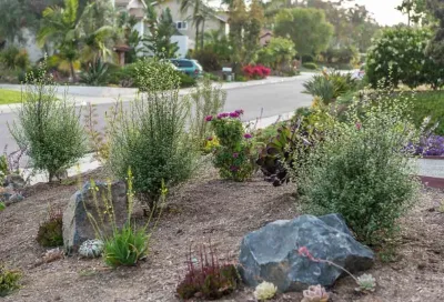 Encinitas, Modernized Front Yard Landscape — Landscape Design project by Barrels & Branches in Encinitas