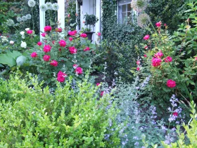 Texada Landscaping, Inc. - Landscape Construction in Villanova, PA
