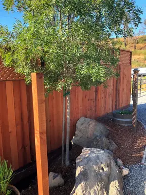 DeWitte Construction - Siding & Exterior Remodeling in Santa Rosa, CA