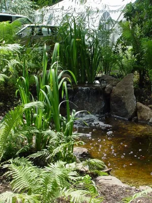 Texada Landscaping, Inc. - Landscape Construction in Villanova, PA