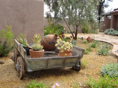 Olivenhein Southwestern Design & Installation — Landscape Design project by Barrels & Branches