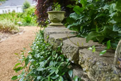 Myrtle M Residence — Landscape Design project by TG&R Landscape Group in Rock Hill