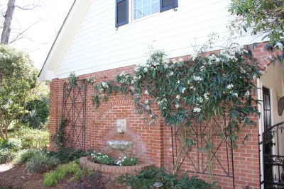 Forest Lane Residence — Landscape Design project by TG&R Landscape Group