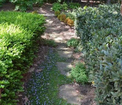 Billess Residence — Landscape Design project by TG&R Landscape Group in Charlotte