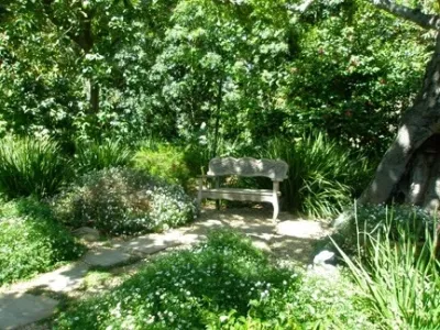 San Ysidro Lane, Montecito by The Aldrich Company - Landscape Design