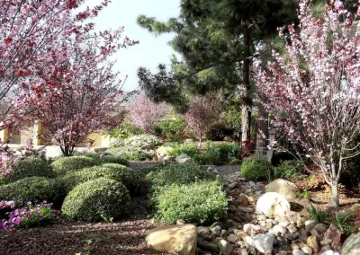 Drought Tolerant Nature Garden — Landscape Design project by The Aldrich Company - Landscape Design