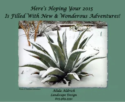 Santa Ynez Winter Scene New Years Card — Landscape Design project by The Aldrich Company - Landscape Design