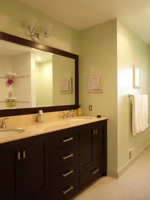 Franklin Park Children's Bath — Home Renovation & Remodeling Services project by Harte Remodels, LLC