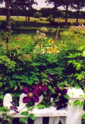 The Coastal Landscape - Garden Remodeling in Bremen, ME