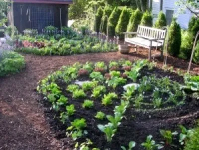 The Complete Kitchen Garden - Landscape Design in Manchester Village, VT