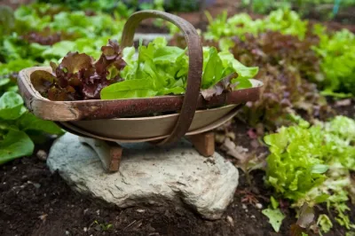 The Complete Kitchen Garden - Landscape Design in Manchester Village, VT