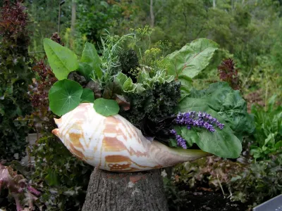 The Complete Kitchen Garden - Landscape Design in Manchester Village, VT