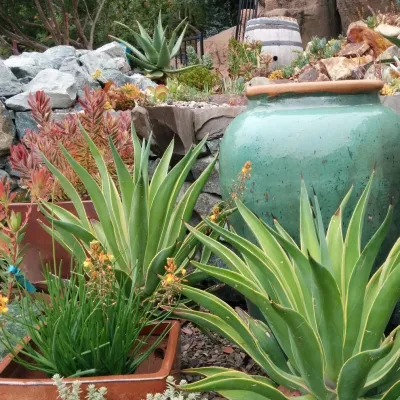 In The Nursery — Landscape Design project by Barrels & Branches