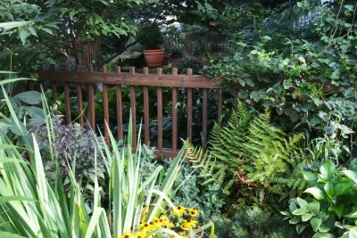Barrie Collins: The Landscape of Us - Landscape Design in Athens, GA
