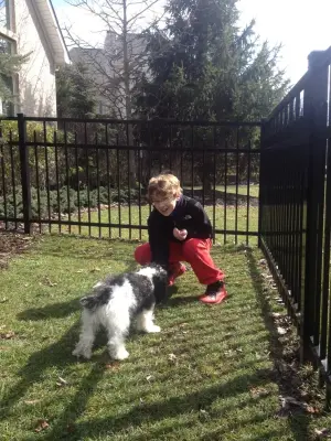 Cuyahoga County, Ohio Aluminum Fence Installation — Fence Installation project by R&T Fence Company Inc.