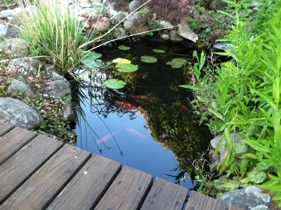 Bay Area Waterscapes - Landscape Repair in Walnut Creek, CA