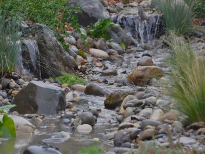 Bay Area Waterscapes - Landscape Repair in Walnut Creek, CA
