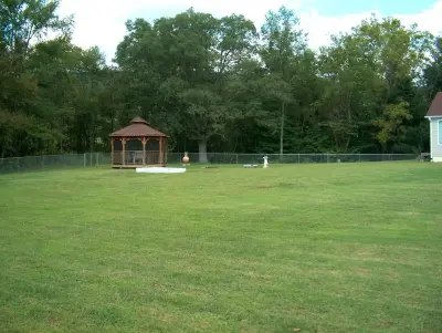 Fence Link Chain — Fence Installation project by Putnam County Fencing