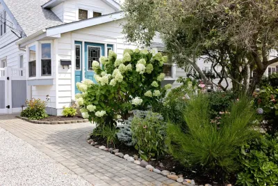 Bay Avenue Plant Company - Garden Remodeling in Surf City, NJ