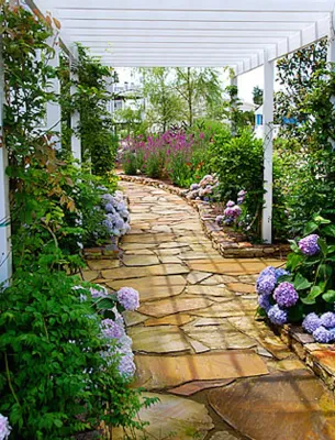 Irregularity at It's Finest — Landscape Design project by Bay Avenue Plant Company