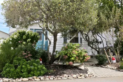 Small Backyard Retreat — Landscape Design project by Bay Avenue Plant Company